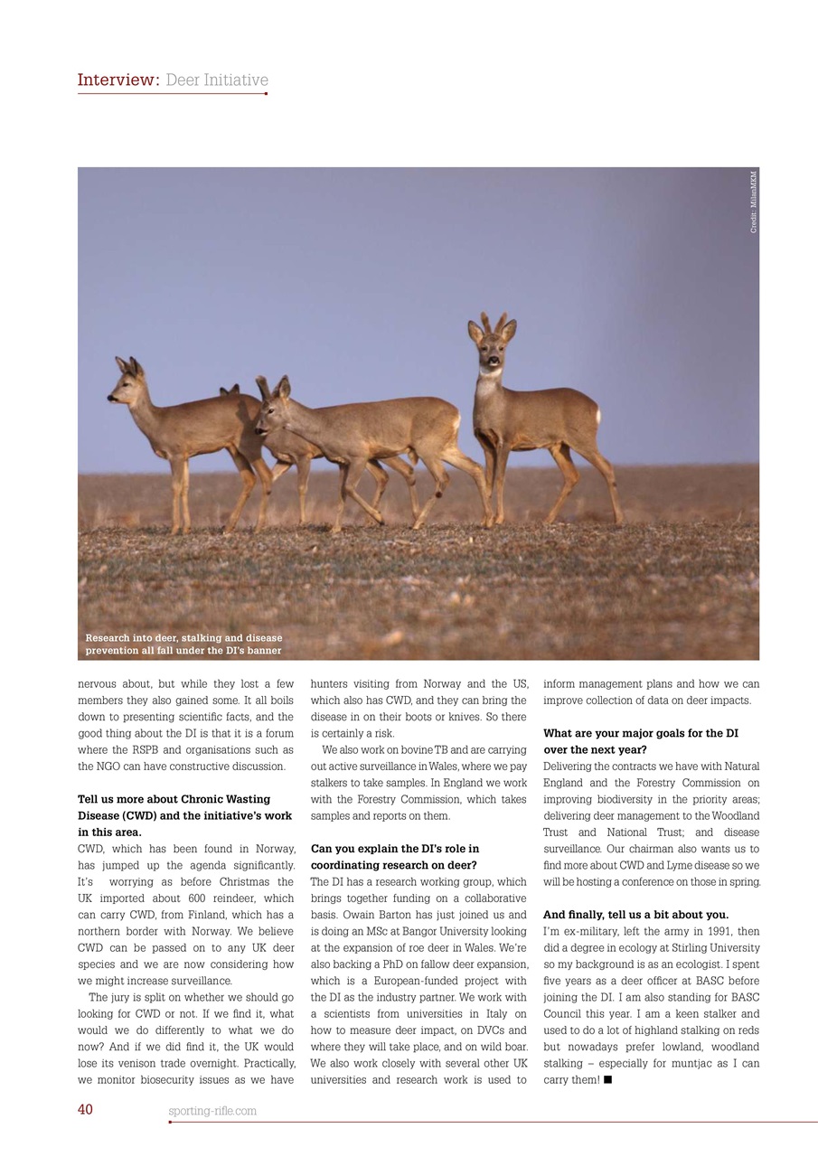 Sporting Rifle Preview Pages