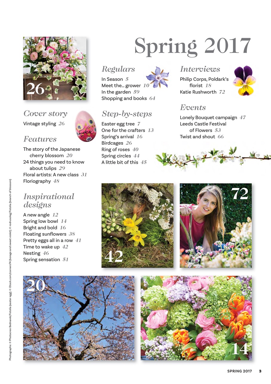 The Flower Arranger Preview Pages