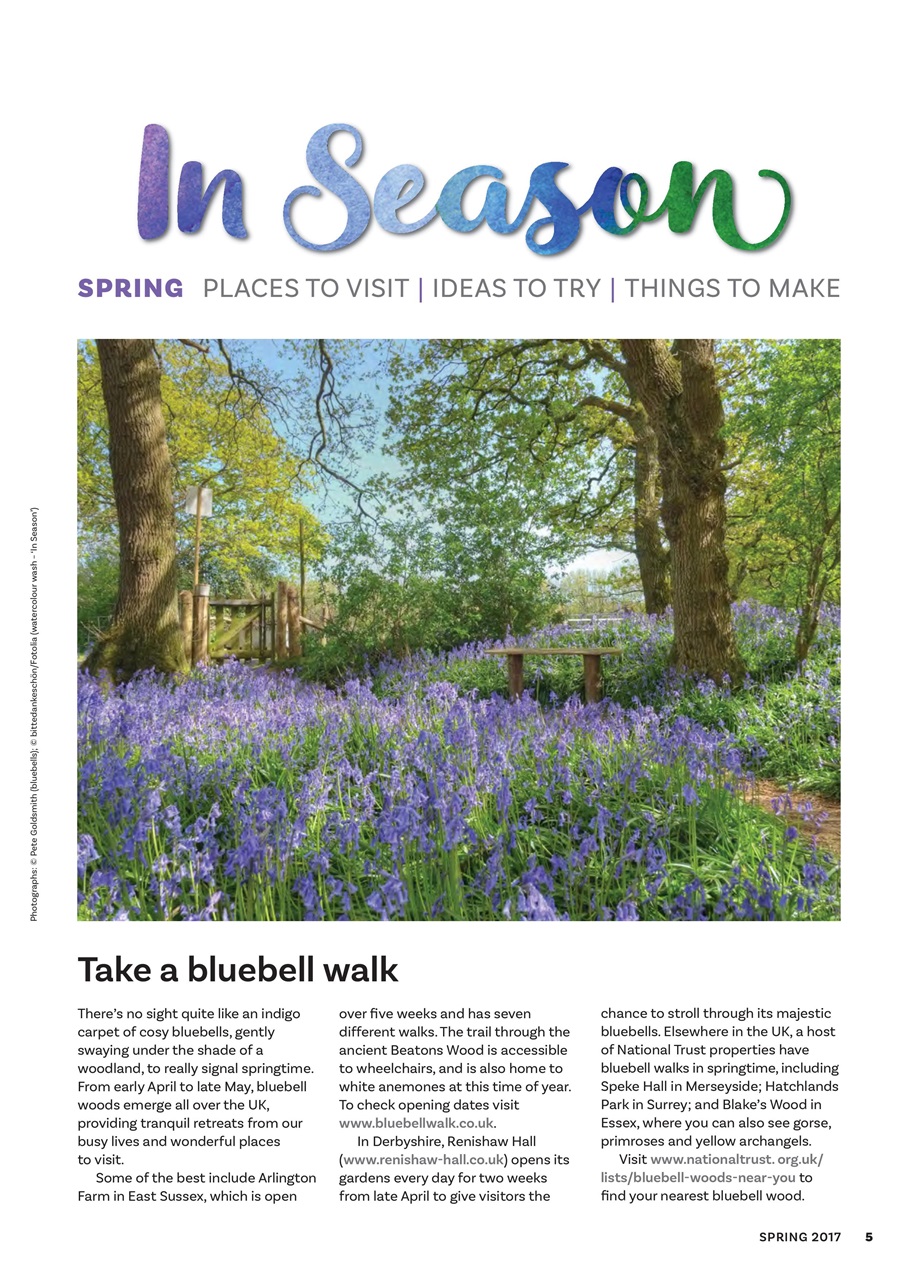 The Flower Arranger Preview Pages