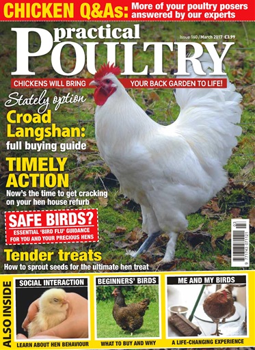 Practical Poultry issue 
