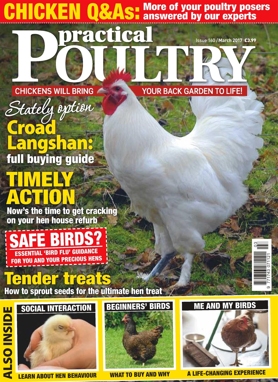 Practical Poultry Preview Pages