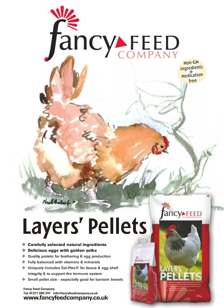 Practical Poultry Preview Pages
