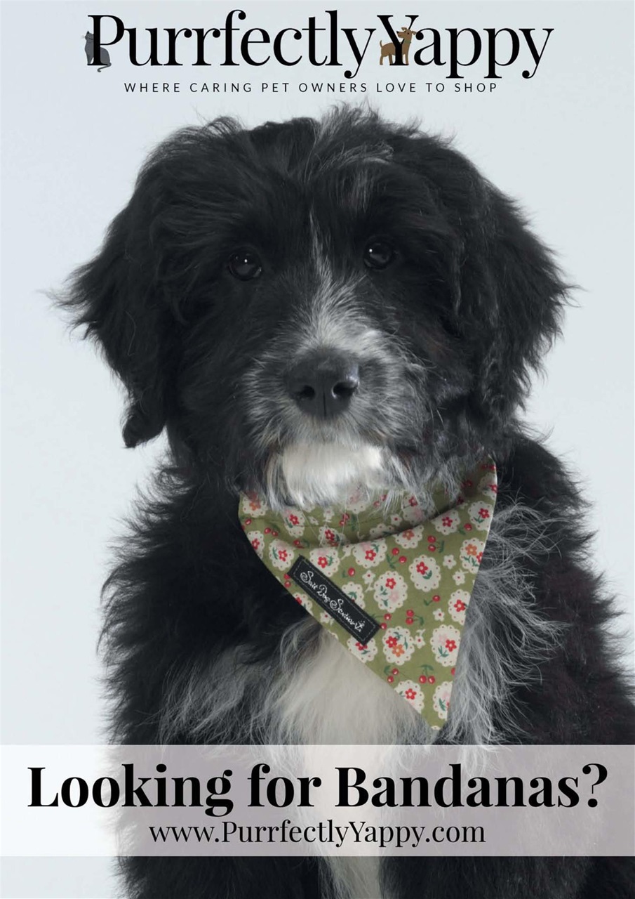 Dogs Monthly Preview Pages