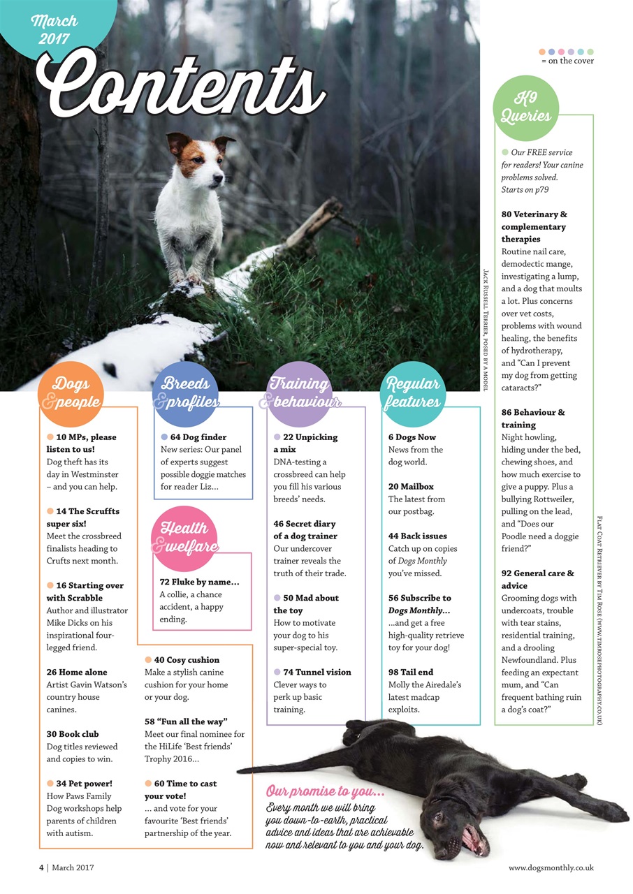 Dogs Monthly Preview Pages