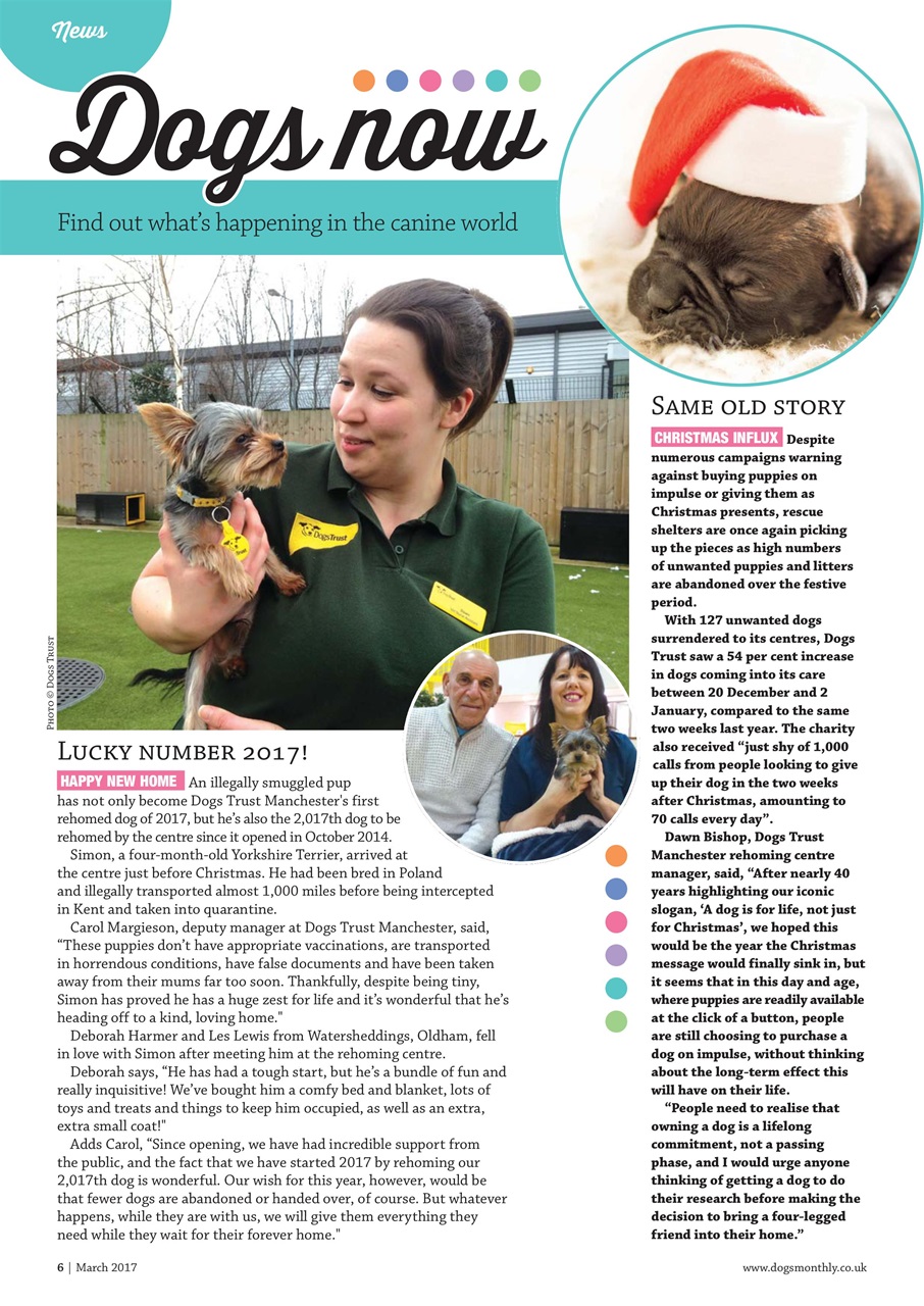 Dogs Monthly Preview Pages
