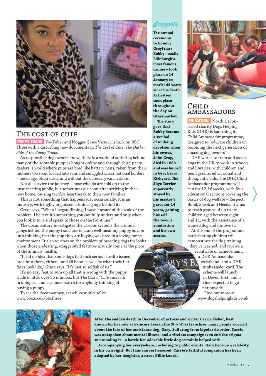 Dogs Monthly Preview Pages