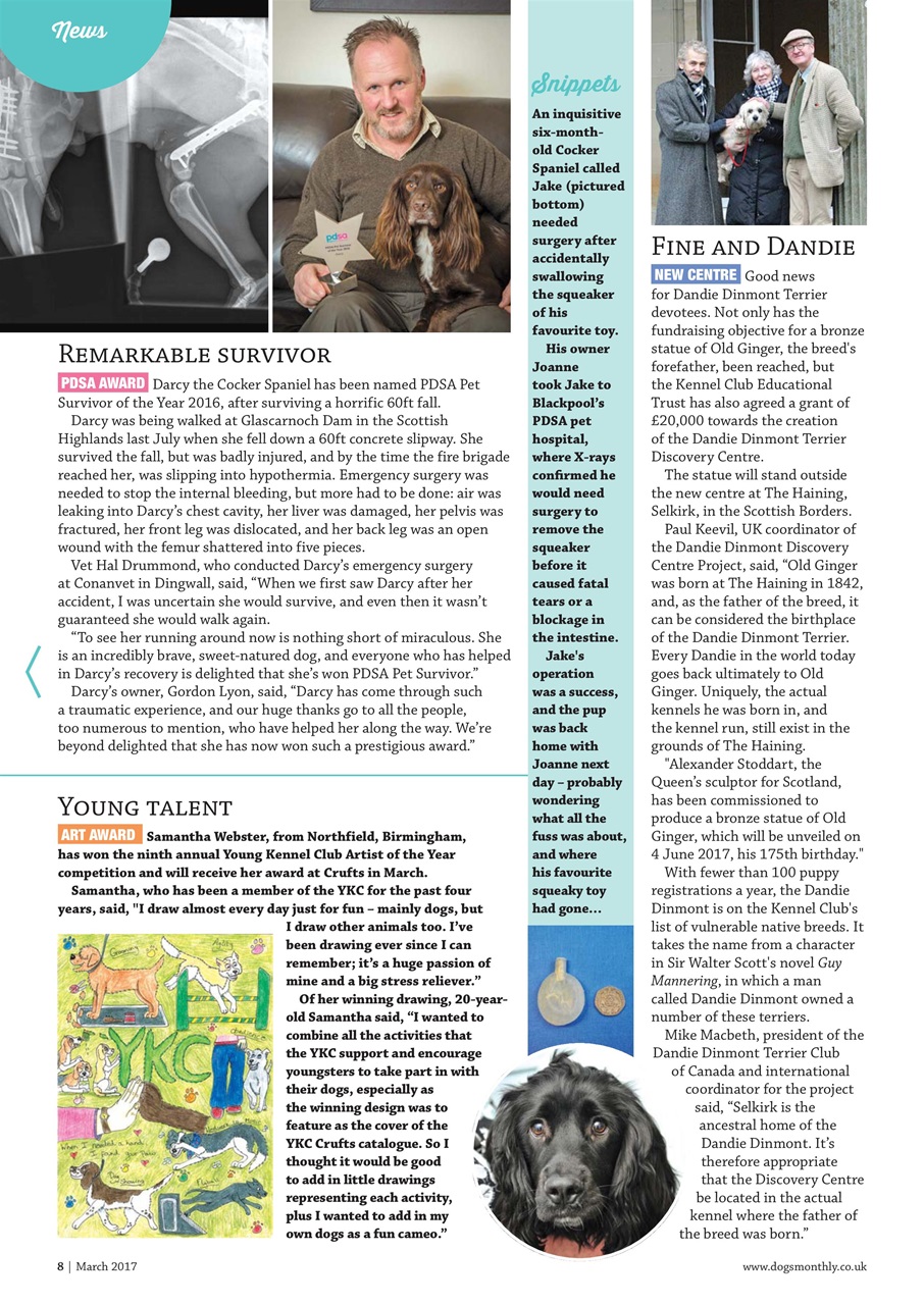 Dogs Monthly Preview Pages