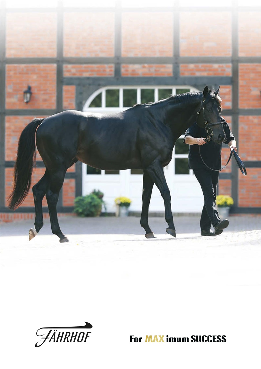 The Owner Breeder Preview Pages