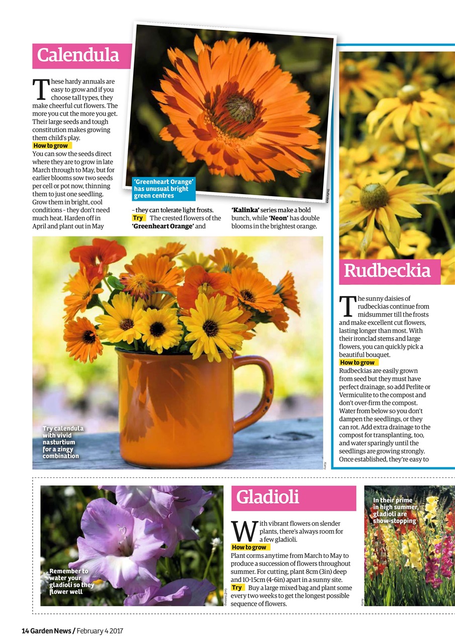 Garden News Preview Pages