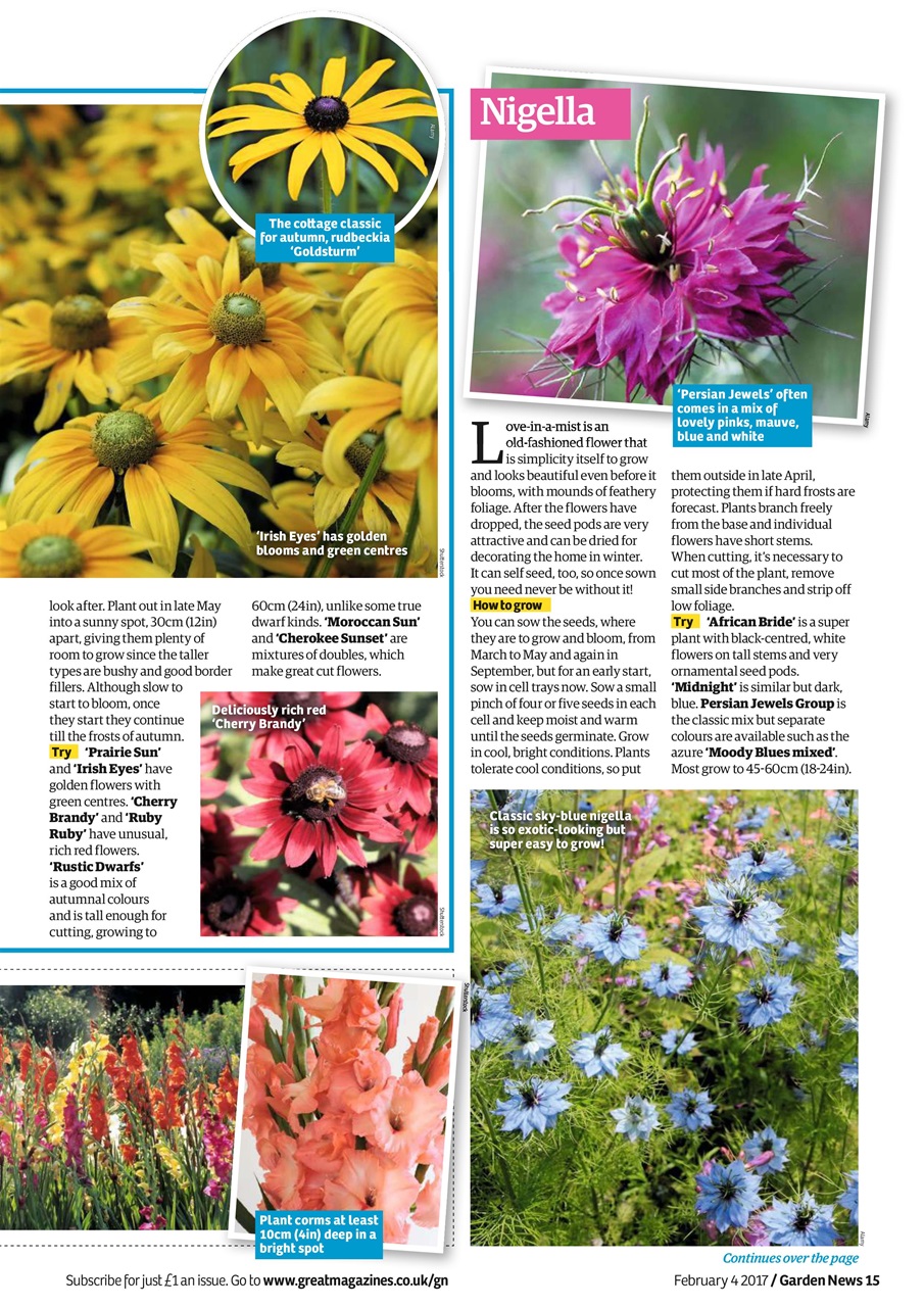Garden News Preview Pages