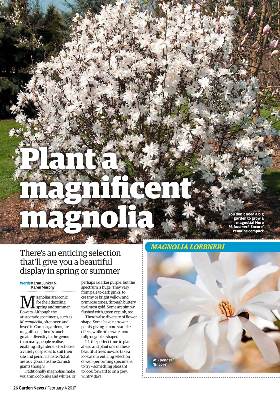 Garden News Preview Pages