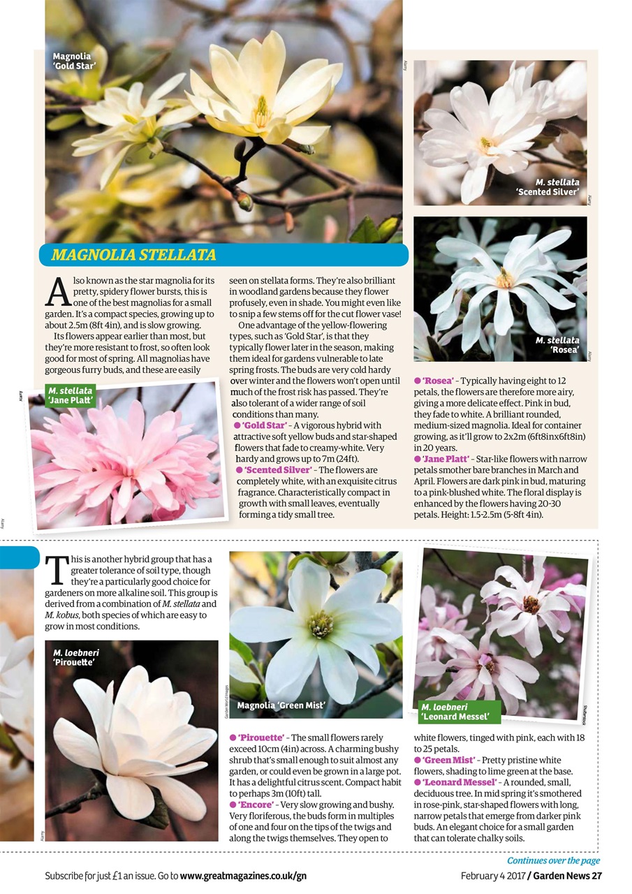 Garden News Preview Pages