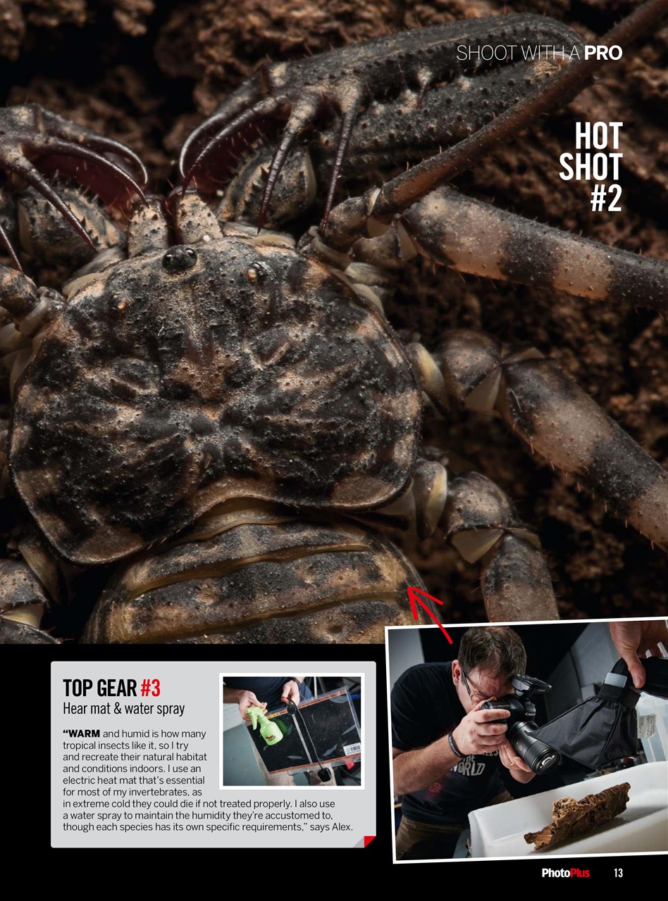 PhotoPlus Preview Pages