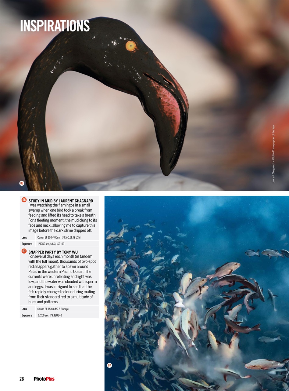 PhotoPlus Preview Pages