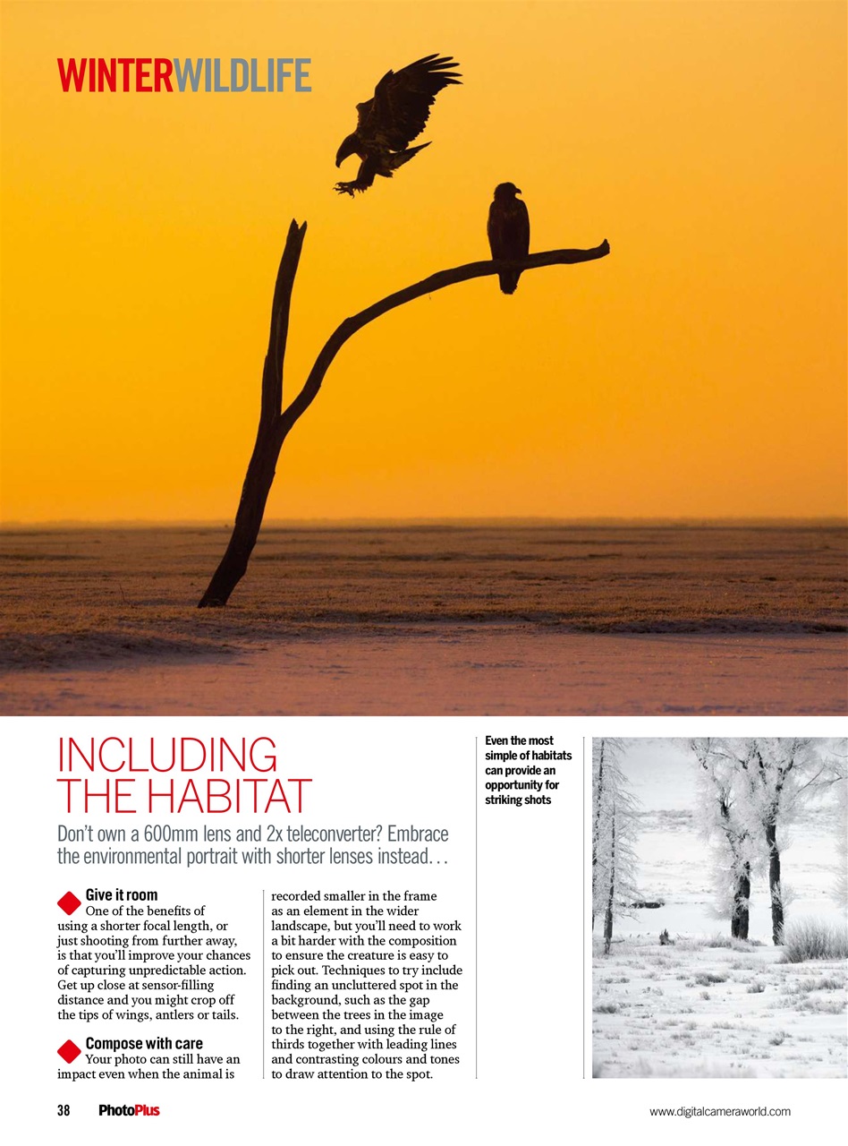 PhotoPlus Preview Pages