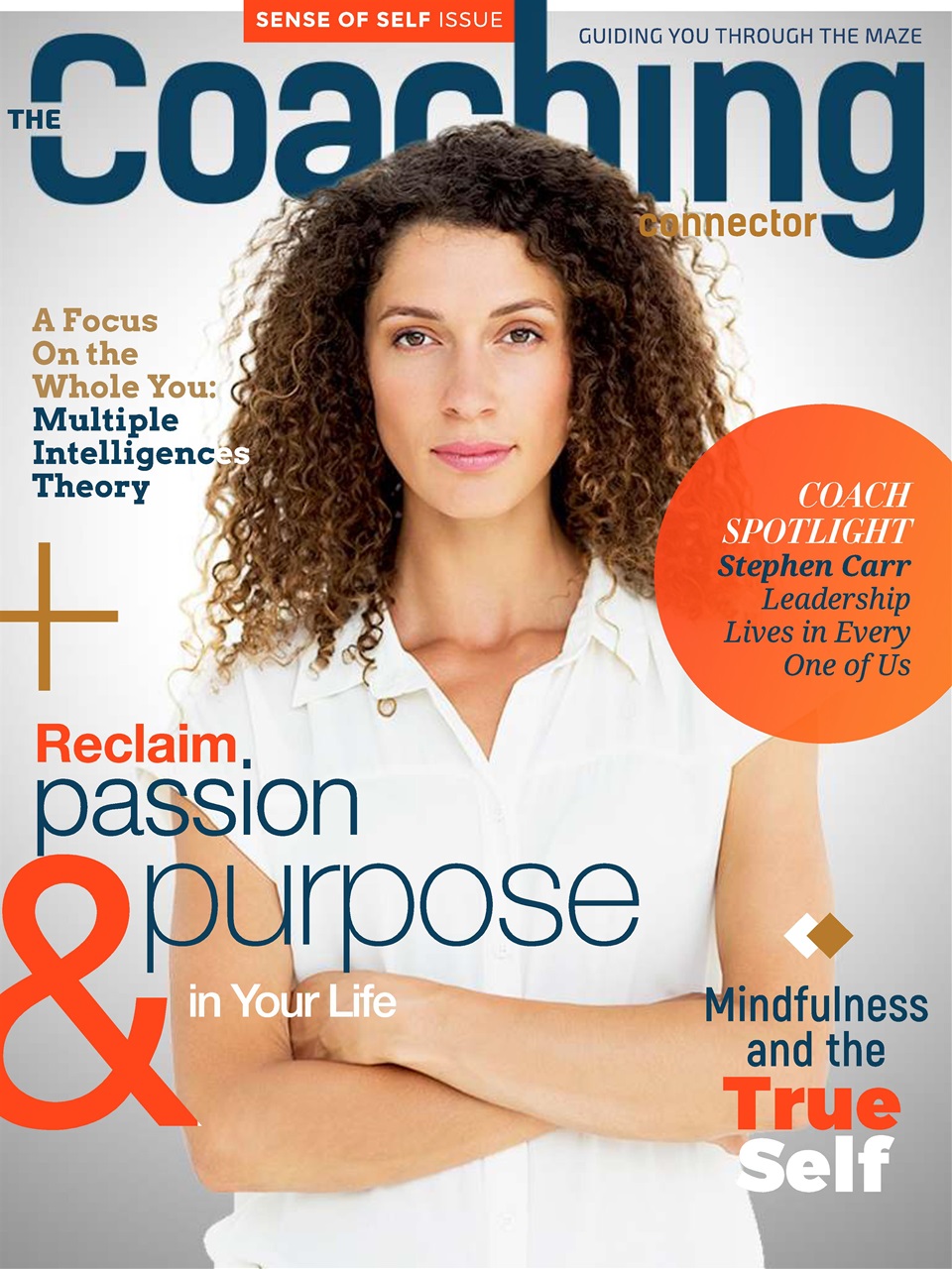The Coaching Connector Preview Pages