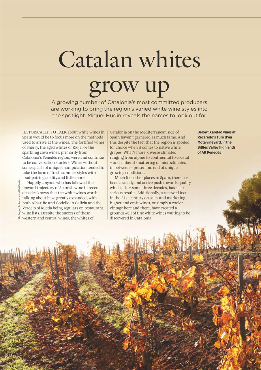 Decanter Preview Pages