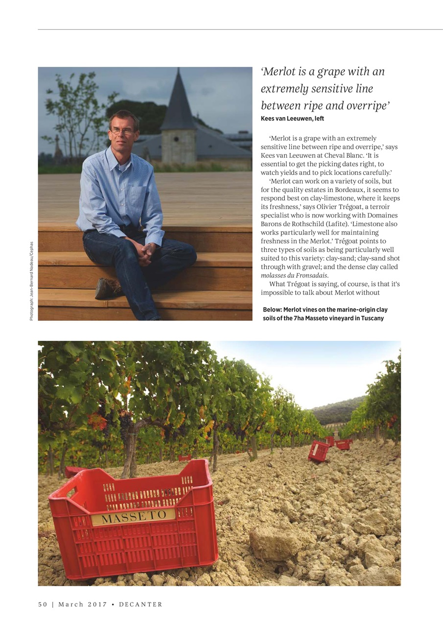 Decanter Preview Pages