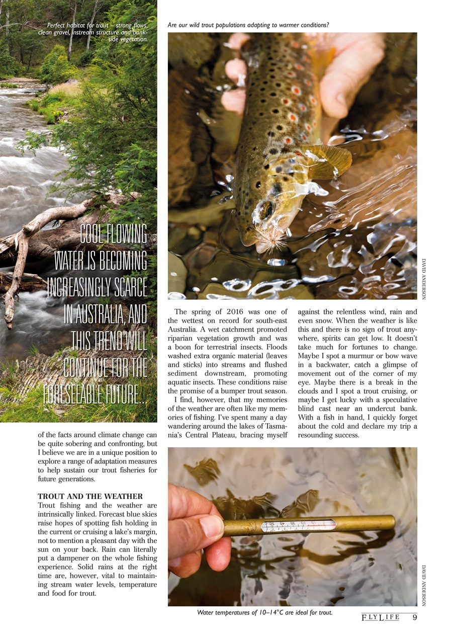 FlyLife Preview Pages