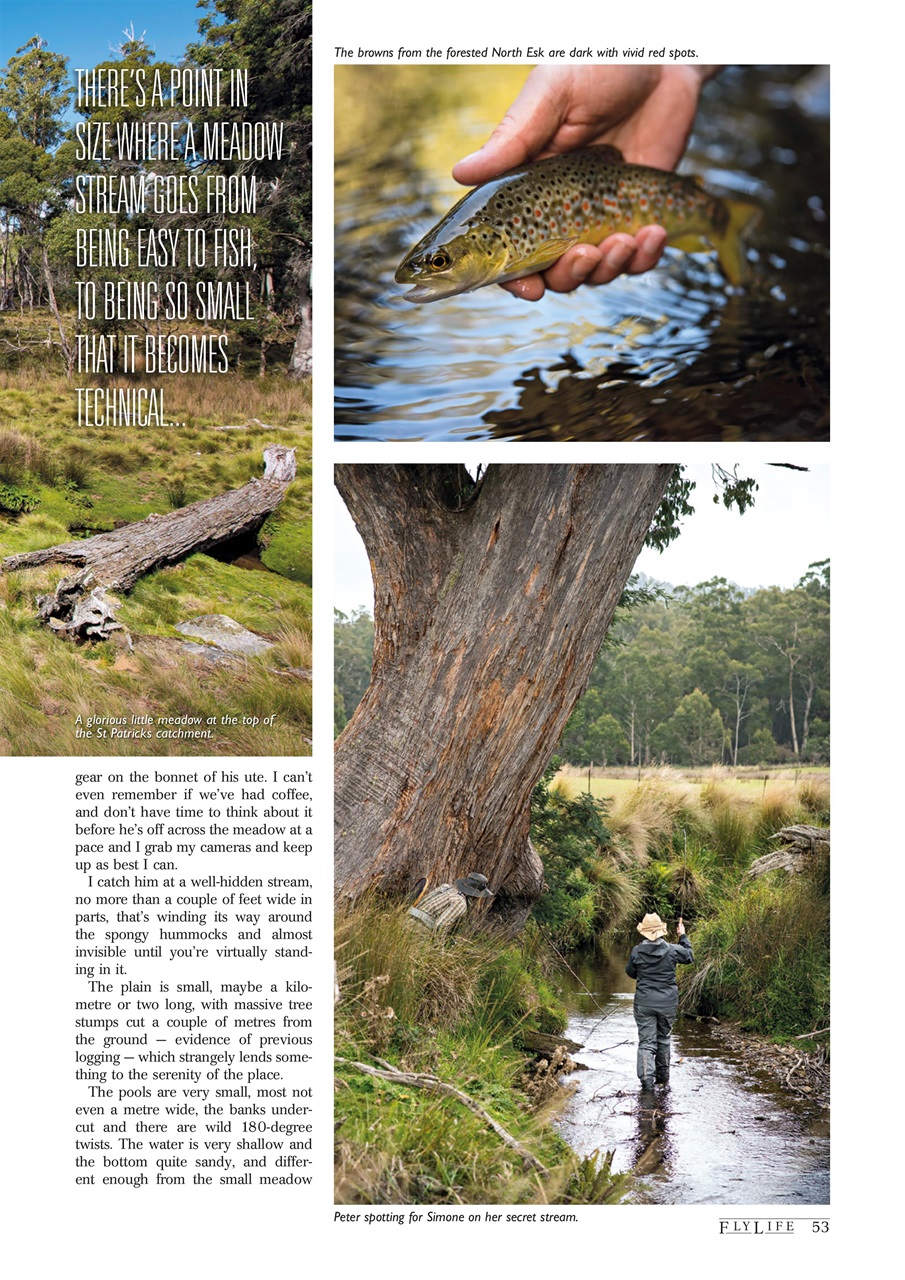 FlyLife Preview Pages