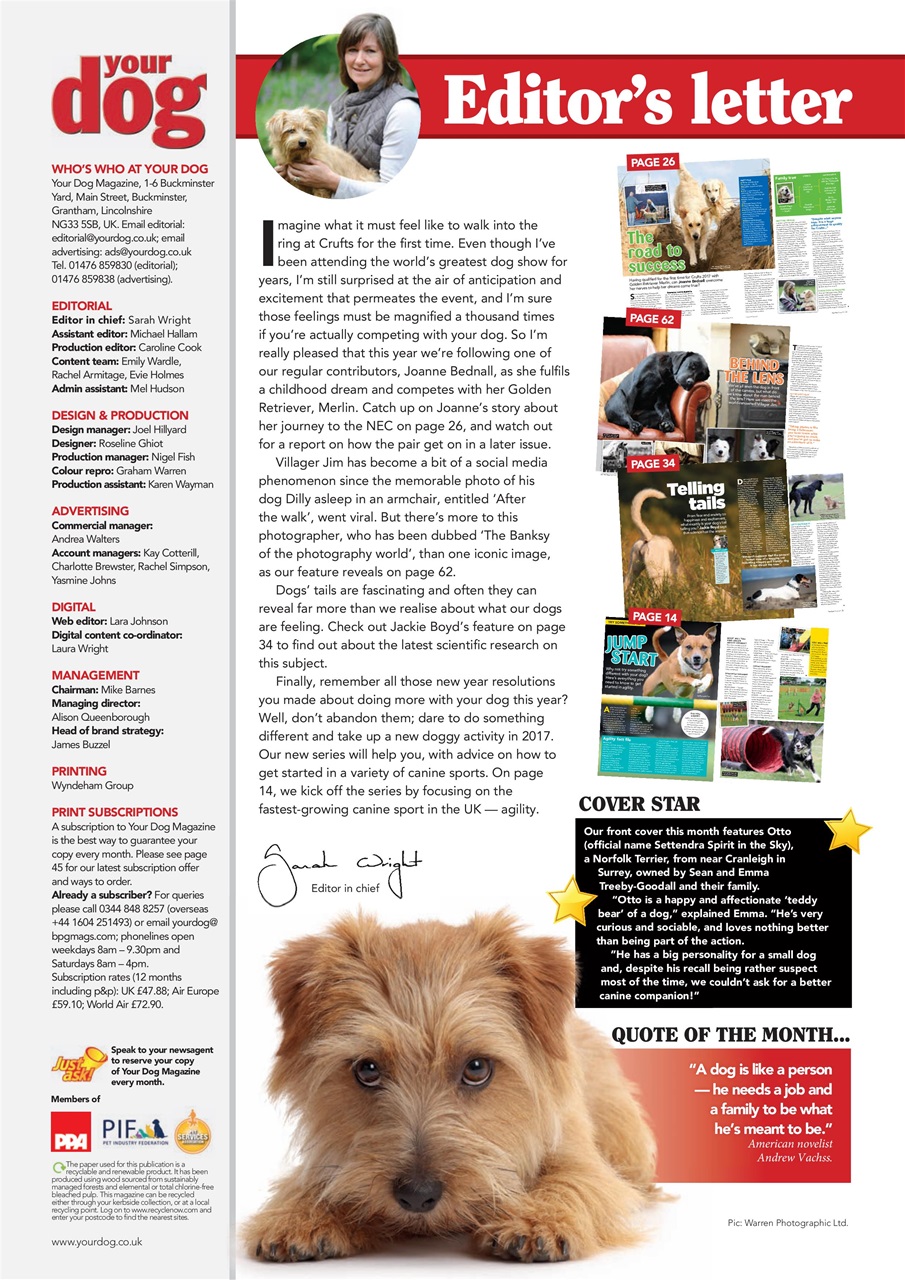 Your Dog Preview Pages