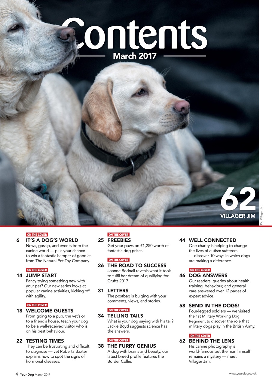 Your Dog Preview Pages