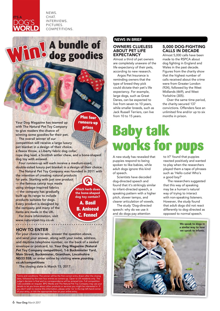 Your Dog Preview Pages