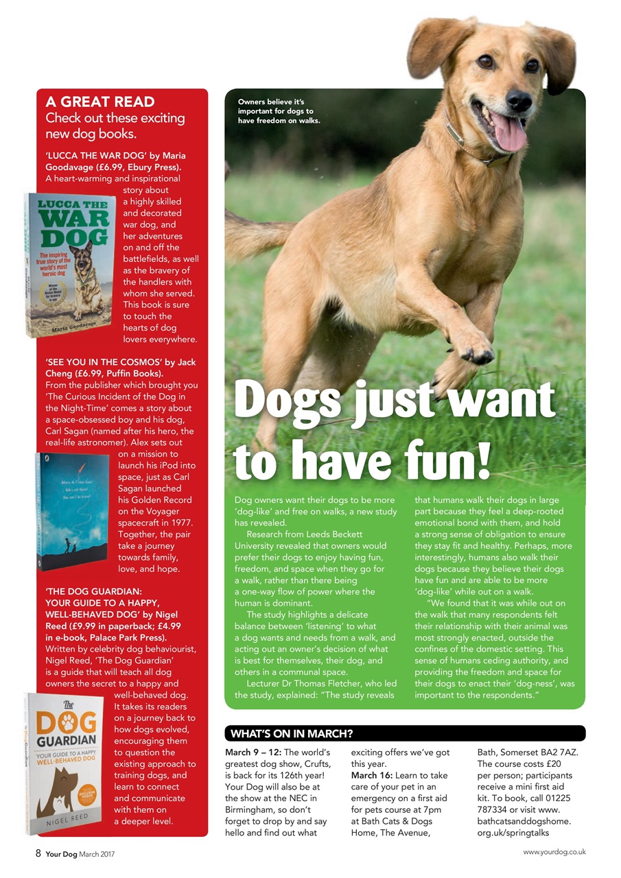 Your Dog Preview Pages