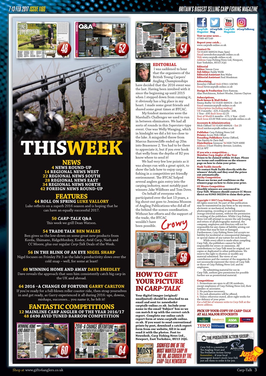 Carp-Talk Preview Pages