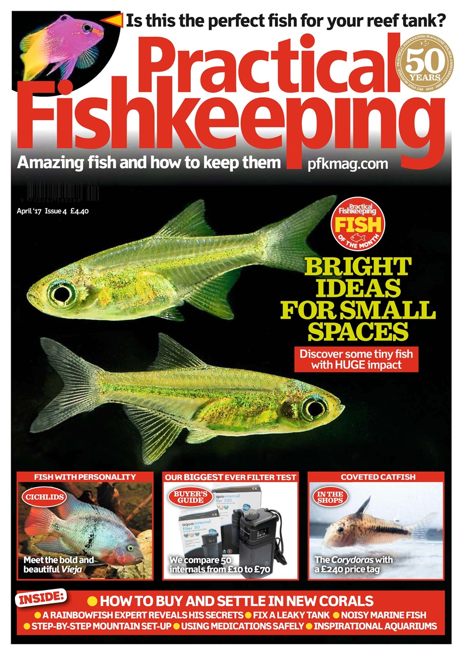 Practical Fishkeeping Preview Pages