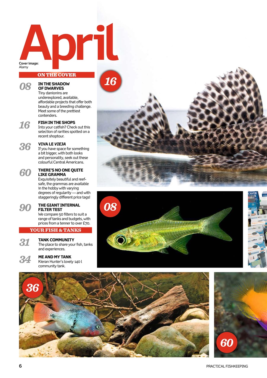 Practical Fishkeeping Preview Pages