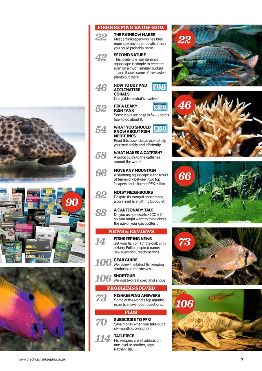 Practical Fishkeeping Preview Pages