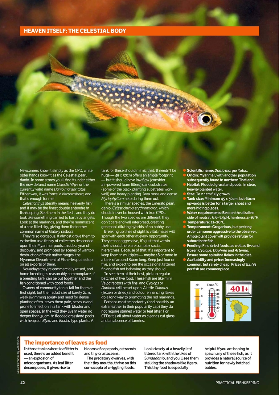 Practical Fishkeeping Preview Pages