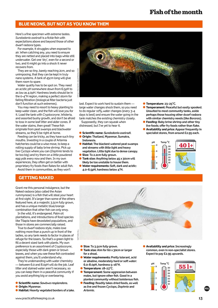 Practical Fishkeeping Preview Pages