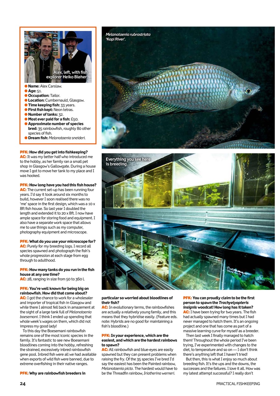Practical Fishkeeping Preview Pages