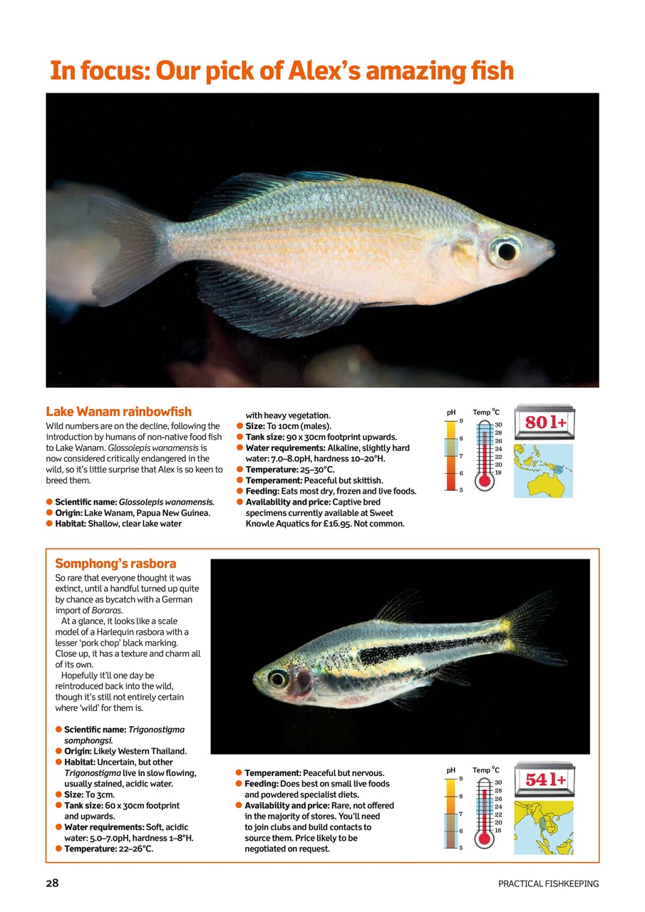 Practical Fishkeeping Preview Pages
