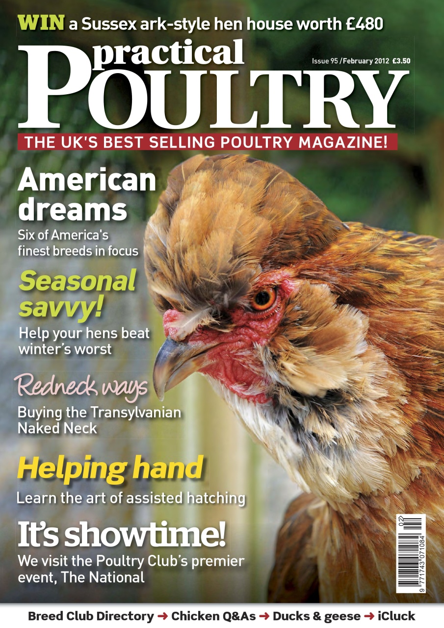 Practical Poultry Preview Pages