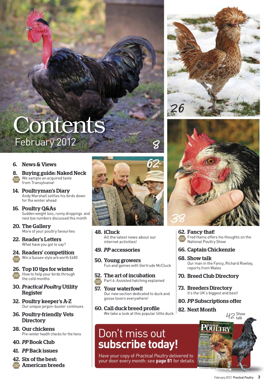 Practical Poultry Preview Pages
