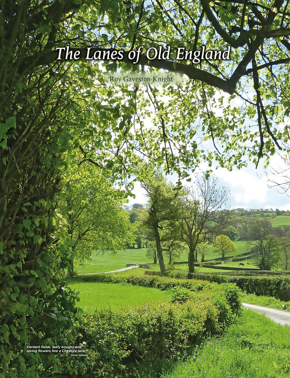 This England Preview Pages