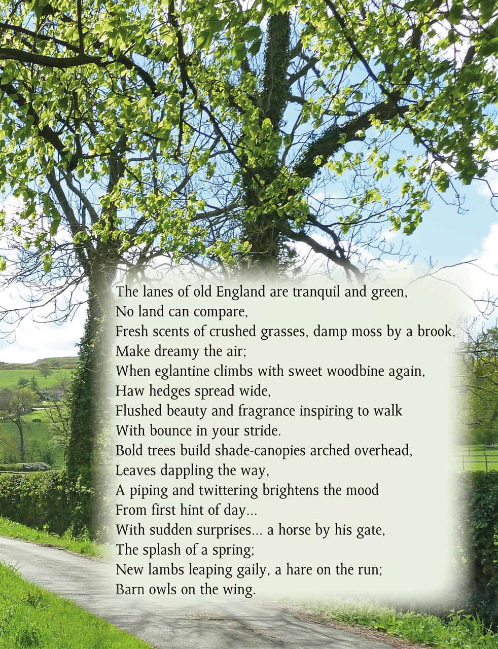 This England Preview Pages