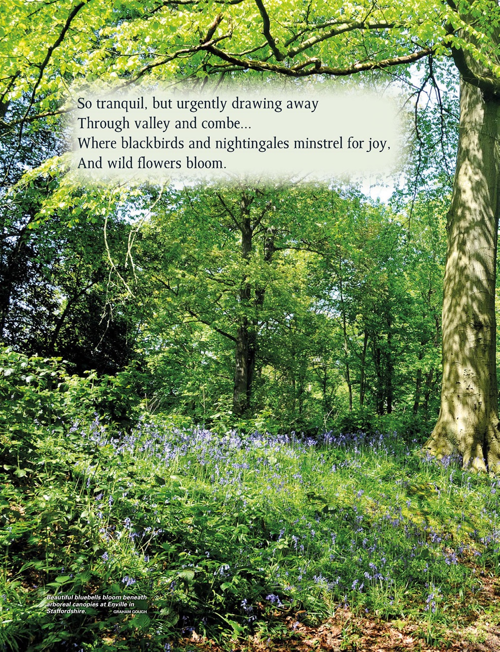 This England Preview Pages