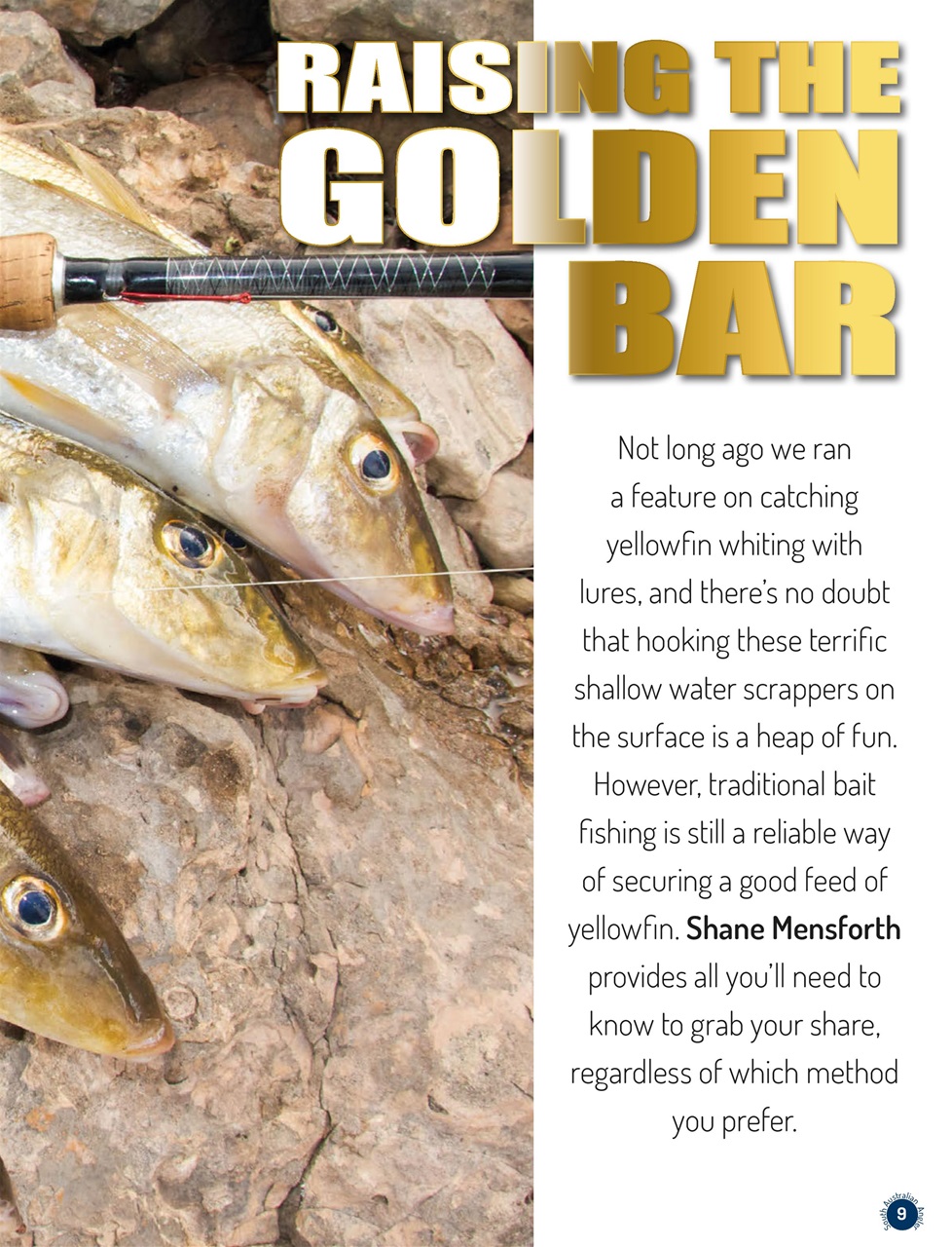 South Australian Angler Preview Pages