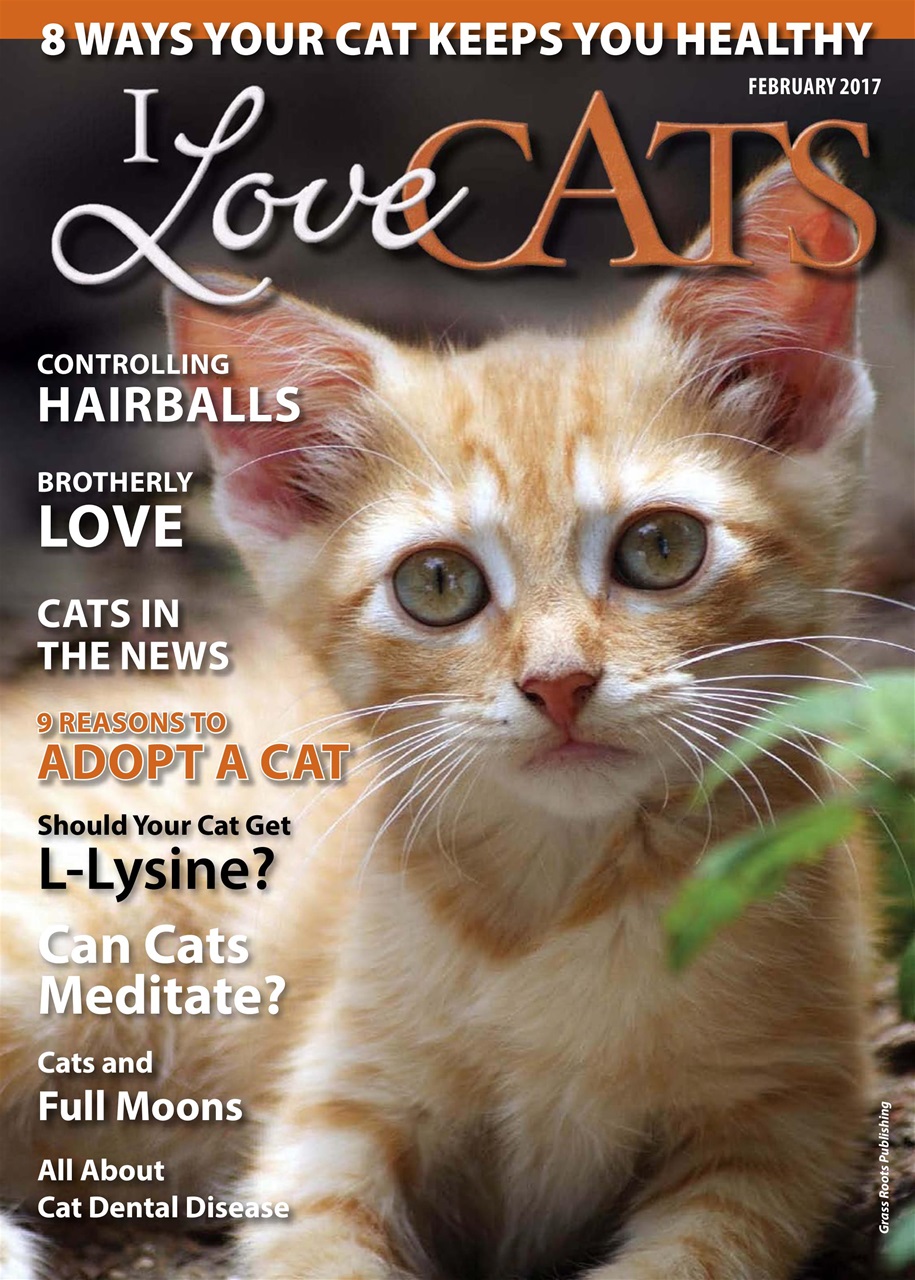 I Love Cats Preview Pages