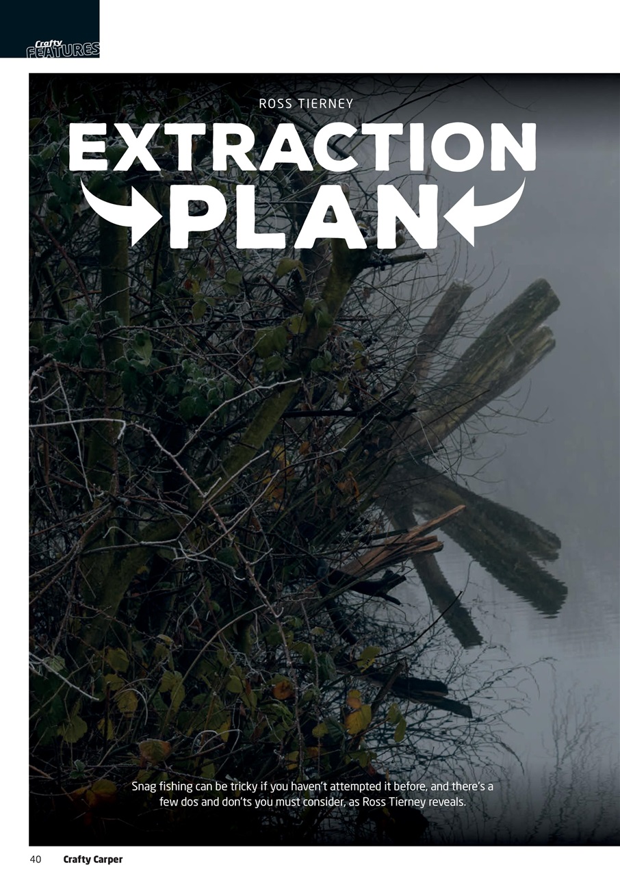 Crafty Carper Preview Pages