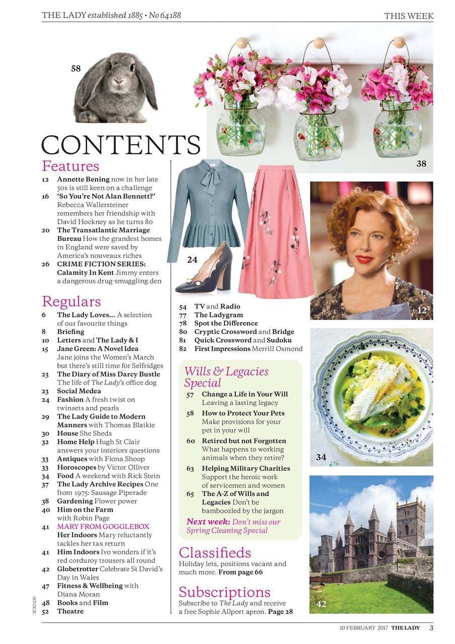 The Lady Preview Pages