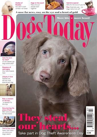 Dogs Today Magazine issue March 2017