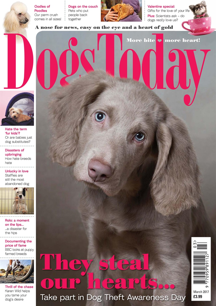 Dogs Today Magazine Preview Pages