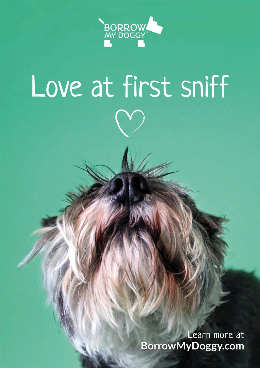 Dogs Today Magazine Preview Pages