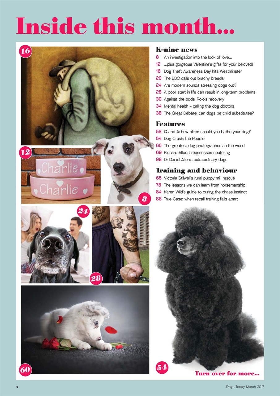 Dogs Today Magazine Preview Pages