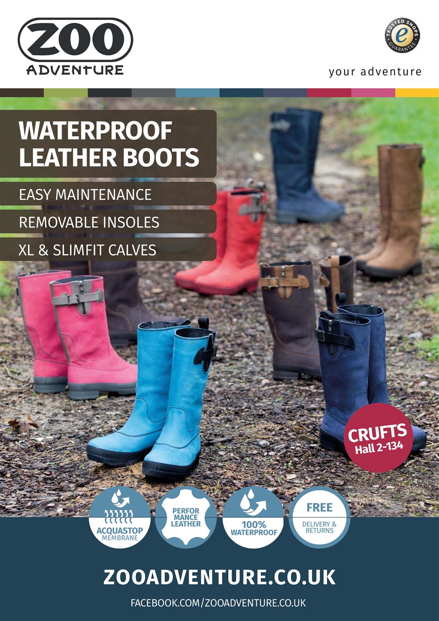 Dogs Today Magazine Preview Pages